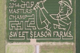 高尔夫的麦田怪圈！佛州农场将玉米地画成巴巴头像