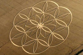 麦田圈中的神圣几何学（四）—— 生命之花